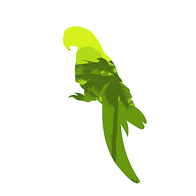 포토 JPG 해외이미지 동물 디자인 실루엣 야생동물 백그라운드 날개 일러스트 자연 조류 동물원 말하기 미술 사람없음 그래픽 반려동물 검은색 흰색 만화 심볼 깃털 사인 그림 서식 꼬리 부리 앵무새 심플 윤곽 고립 엘리먼트 이국적 잉꼬 활자 해외일러스트 컬러 모션 문화예술 촬영기법 생태계 활자판 파일형식 이미지허브