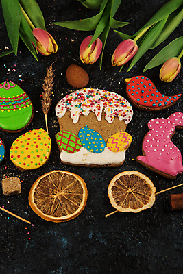 포토 JPG 해외이미지 꽃 잎 사람없음 장식 화려 부활절계란 건과일 새모양 시나몬 토끼모양 진저쿠키 스프링클 해외포토 모양 식물 컨셉 과일 부활절 건조 쿠키 계란 파일형식 이미지허브