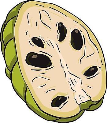 EPS 해외이미지 식물 음식 잎 농업 과일 일러스트 자연 디저트 건강 씨앗 세트 정원 수확 신선 달콤 사과 설탕 스케치 수집 메뉴 유기농 손그림 비타민 내추럴 이국적 채식주의자 현실 맛있는 해외일러스트 웰빙 산업 미술 맛 생태계 채식 영양소 파일형식 벡터 이미지허브