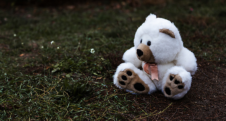 포토 JPG 해외이미지 동물 어린이 인형 컨셉 잎 곰 자연 놀이 털 사랑 앉기 사람없음 장난감 환경 곰인형 손상 슬픔 수확 쓰레기통 흰색 아기 분위기 고독 폐기물 버리기 오브젝트 부드러움 낭비 폭식 깨짐 땅바닥 생태학 옛날 혼자 실종 해외포토 식물 교육 감정 컬러 농업 포유류 모션 바닥 사람 감각 쓰레기 사건 생태계 파일형식 이미지허브