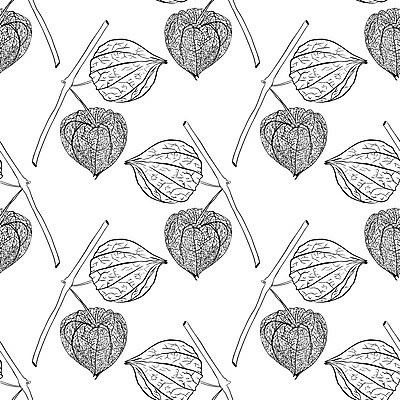 포토 JPG 해외이미지 식물 손 디자인 계절 선 음식 백그라운드 잎 꽃무늬 패턴 다이어트 토마토 과일 일러스트 자연 벽지 건강 미술 사람없음 그래픽 세트 갈색 정원 나뭇가지 신선 얼룩 황금 스케치 수집 그림 유기농 질감 손그림 내추럴 해외일러스트 나무 웰빙 꽃 컬러 무늬 채소 문화예술 신체부위 생태계 파일형식 이미지허브