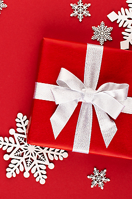 포토 JPG 해외이미지 전통 계절 리본 종이 백그라운드 컨셉 크리스마스 패턴 탁자 휴가 새로움 선물 사람없음 장식 빨간색 상자 축제 수확 흰색 시골 연도 책상 활 꽃가루 구성 플랫레이 해외포토 기념일 컬러 가구 무늬 농업 플랫 가루 파일형식 이미지허브