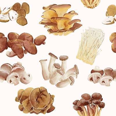 EPS 해외이미지 식물 음식 백그라운드 패턴 채소 일러스트 재료 자연 요리 미술 목재 세트 버섯 수확 굴 신선 시장 황금 숲 스케치 수집 메뉴 그림 유기농 날것 귀 손그림 밀짚 곰팡이 그물버섯 식용 엘리먼트 채식주의자 해외일러스트 나무 웰빙 무늬 농업 문화예술 어패류 신체부위 짚 생태계 채식 파일형식 벡터 이미지허브