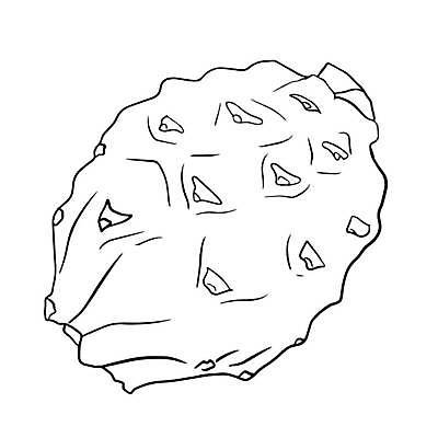 EPS 해외이미지 식물 디자인 아시아 음식 조각 다이어트 과일 일러스트 재료 태국 자연 디저트 건강 동양인 여름 세트 주스 흰색 용 신선 달콤 맛 낙서 스케치 메뉴 유기농 날것 손그림 비타민 내추럴 고립 숙성 이국적 채식주의자 맛있는 해외일러스트 웰빙 계절 나라 음료 컬러 컨셉 미술 인종 생태계 채식 영양소 파일형식 벡터 이미지허브