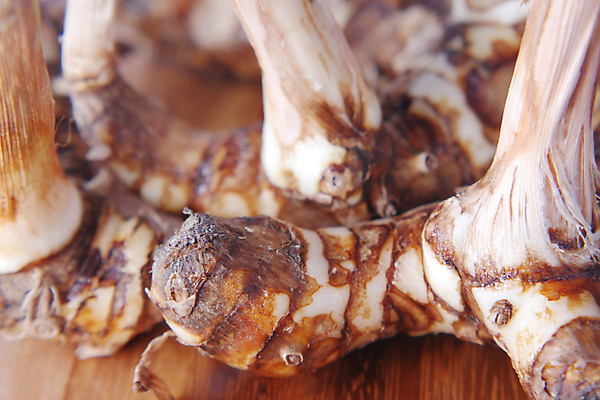 포토 JPG 해외이미지 음식 조각 채소 부분 태국 사람없음 초록색 거친 허브 향신료 유기농 뿌리 생강 해외포토 식물 웰빙 아시아 컬러 향미료 파일형식 이미지허브