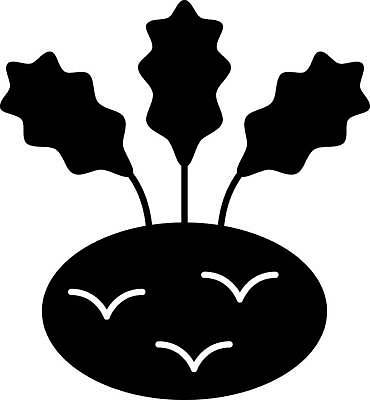 EPS 해외이미지 모양 식물 디자인 실루엣 음식 줄기 백그라운드 잎 다이어트 채소 일러스트 자연 건강 그래픽 농장 검은색 수확 흰색 신선 허브 심볼 그림 유기농 날것 뿌리 비타민 내추럴 고립 상형문자 영양분 채식주의자 콜라비 비건 해외일러스트 문자 웰빙 컬러 농업 촬영기법 생태계 채식 영양소 파일형식 벡터 이미지허브