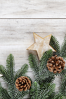 포토 JPG 해외이미지 나무 식물 백그라운드 크리스마스 겨울 패턴 자연 휴가 새로움 사람없음 목재 장식 초록색 우주 흰색 나뭇가지 축하 소나무 바늘 연도 상록수 침엽수 전나무 내추럴 고립 가문비나무 해외포토 계절 기념일 컬러 컨셉 무늬 재료 도구 생태계 파일형식 이미지허브