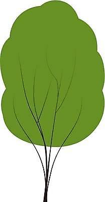 EPS 해외이미지 나무 식물 손 디자인 계절 단풍 잎 크리스마스 겨울 오렌지 일러스트 왕관 미술 장식 세트 정원 페인트 봄 벚꽃 그리기 낙서 숲 스케치 수집 버드나무 호두 자작나무 고립 미루나무 생태학 엘리먼트 재 많음 해외일러스트 교육 기념일 꽃 컨셉 과일 모션 문화예술 신체부위 견과류 파일형식 벡터 이미지허브