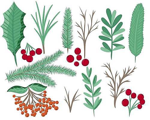 EPS 해외이미지 일러스트 사람없음 초록색 나뭇가지 풀잎 크랜베리 해외일러스트 나무 열매 컬러 잎 풀_식물 파일형식 벡터 이미지허브