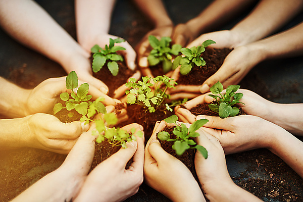 포토 JPG 해외이미지 주간 식물 손 함께함 여러명 야외 신체부위 새싹 흙 잡기 그룹 돌봄 생태학 해외포토 자연요소 교육 다수 컨셉 모션 사람 파일형식 이미지허브