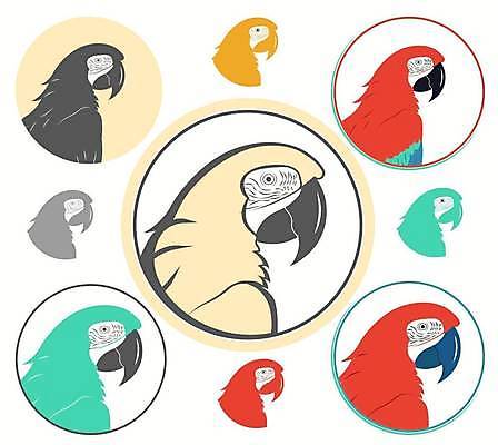 EPS 해외이미지 동물 캐릭터 디자인 실루엣 야생동물 백그라운드 일러스트 자연 조류 열대 동물원 빨간색 파란색 반려동물 세트 컬러풀 노란색 흰색 서커스 만화 수집 깃털 그림 꼬리 부리 앵무새 브라질 고립 동물상 마스코트 이국적 현실 해외일러스트 일러캐릭터 컬러 촬영기법 조형물 남아메리카 생태계 파일형식 벡터 이미지허브