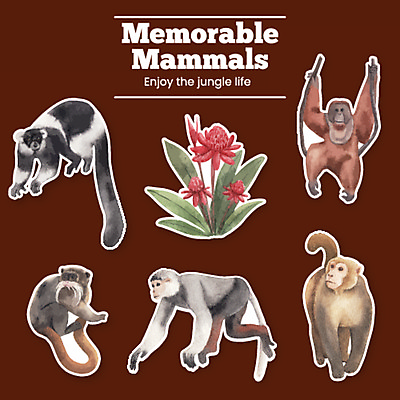 JPG 해외이미지 스티커 여러마리 일러스트 종류 사람없음 원숭이 손그림 엘리먼트 열대꽃 해외일러스트 꽃 다수 포유류 파일형식 이미지허브