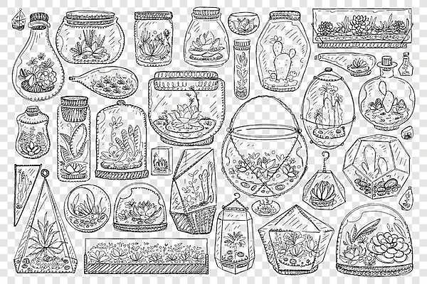 EPS 해외이미지 꽃 잎 일러스트 유리병 선인장 종류 사람없음 세트 낙서 라인아트 원예 손그림 다육식물 테라리움 해외일러스트 식물 선 병_용기 취미 파일형식 벡터 이미지허브