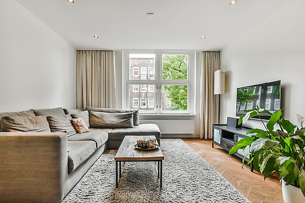 포토 JPG 해외이미지 화분 거실 창문 탁자 실내 사람없음 인테리어 소파 텔레비전 카펫 커튼 심플 해외포토 디자인 가구 의자 내부 전자제품 파일형식 이미지허브