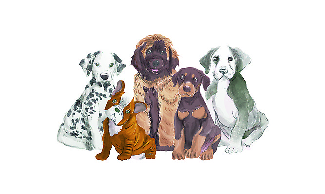 포토 JPG 해외이미지 클립아트 동물 행복 어린이 백그라운드 일러스트 포유류 벽지 미술 앉기 사람없음 그래픽 물 반려동물 세트 페인트 흰색 아기 그룹 개 강아지 만화 스케치 수집 그림 질감 솜털 송곳니 고립 기르기 달마시안 유래 현실 해외일러스트 자연요소 감정 컬러 모션 문화예술 사람 치아 돌봄 파일형식 이미지허브