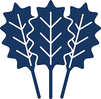 포토 JPG 해외이미지 모양 식물 디자인 실루엣 백그라운드 잎 다이어트 채소 일러스트 자연 건강 미술 사람없음 그래픽 검은색 샐러드 흰색 신선 상추 만화 허브 심볼 사인 그림 유기농 날것 빙산 비타민 고립 고체 상형문자 엘리먼트 채식주의자 케일 로메인상추 해외일러스트 문자 웰빙 음식 컬러 문화예술 촬영기법 생태계 채식 영양소 파일형식 이미지허브