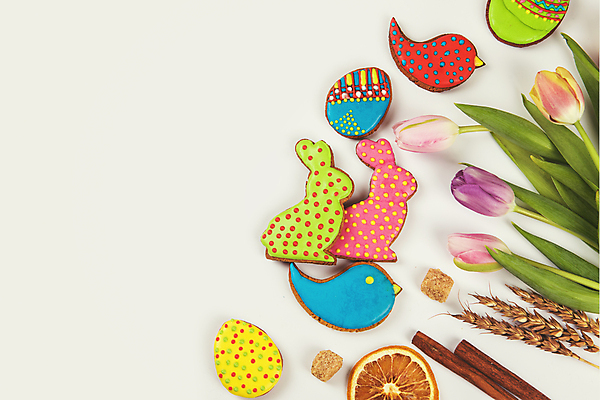 포토 JPG 해외이미지 꽃 잎 사람없음 장식 화려 부활절계란 건과일 새모양 시나몬 토끼모양 진저쿠키 스프링클 카피스페이스 해외포토 모양 식물 컨셉 과일 부활절 건조 쿠키 계란 공백 파일형식 이미지허브