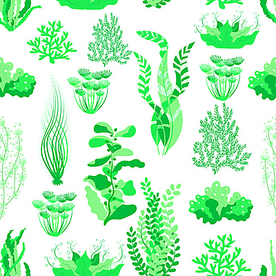 포토 JPG 해외이미지 식물 야생동물 바다 백그라운드 잎 꽃무늬 벽지 추상 미술 사람없음 장식 초록색 세트 수중 직물 해조류 만화 그림 질감 손그림 수족관 내추럴 엘리먼트 해외포토 동물 꽃 컬러 무늬 문화예술 해양식물 파일형식 이미지허브