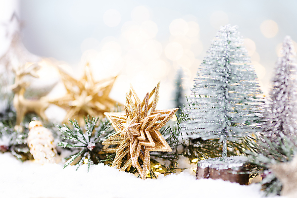 포토 JPG 해외이미지 나무 백그라운드 크리스마스 공 사람없음 장식 초록색 나뭇가지 소나무 보케 상록수 침엽수 전나무 가문비나무 해외포토 식물 기념일 컬러 파일형식 이미지허브