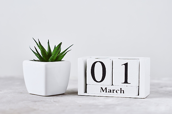 포토 JPG 해외이미지 식물 1 라이프스타일 디자인 백그라운드 컨셉 비즈니스 탁자 휴가 설계 주택 실내 이벤트 사람없음 목재 초록색 사무실 숫자 다이어리 봄 블록 달력 흰색 시간 업무 작업 날짜 계획 심볼 큐브 책상 오브젝트 약속 월 기간 마감 조언 해외포토 나무 문자 계절 컬러 가구 재료 내부 건물 생활 사무용품 파일형식 이미지허브