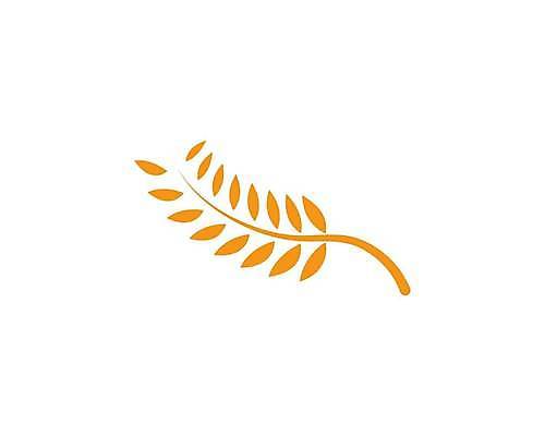 EPS 해외이미지 식물 디자인 배너 음식 빵 백그라운드 농업 다이어트 일러스트 자연 밥 건조 건강 옥수수 씨앗 농작물 농장 노란색 라벨 수확 성장 흰색 신선 시장 황금 상품 낟알 시리얼 밀 먹기 심볼 사인 유기농 귀 밀가루 스파이크 내추럴 고립 밭일 엘리먼트 귀리 해외일러스트 웰빙 산업 컬러 모션 곡류 프레임 신체부위 가루 생태계 파일형식 벡터 사람 이미지허브