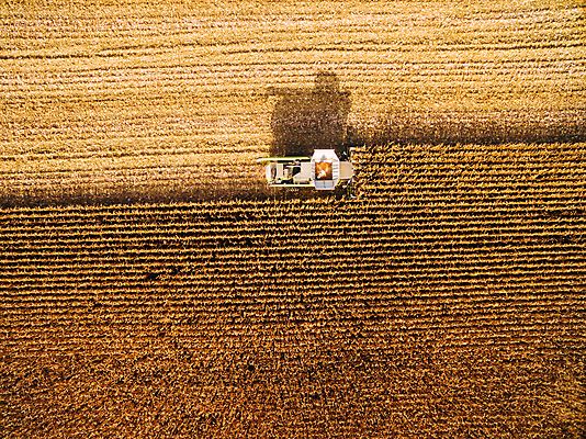 포토 JPG 해외이미지 밭 농업 그림자 옥수수 씨앗 사람없음 농장 농경지 운전 수확 작업 농부 농기구 땅 트랙터 항공촬영 밭일 해외포토 식물 직업 산업 뷰포인트 모션 곡류 농기계 특수차량 파일형식 이미지허브