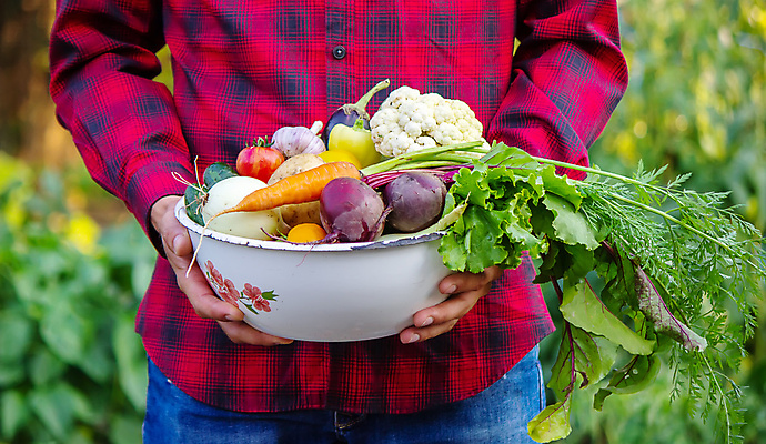 포토 JPG 해외이미지 라이프스타일 손 남자 음식 다이어트 채소 오렌지 재료 감자 파프리카 건강 요리 사람없음 빨간색 초록색 물 컬러풀 농장 노란색 금속 주방 식당 요리사 식사 당근 카페 샐러드 회색 흐름 종 신선 사발 떨어짐 빨래 먹기 싱크대 유기농 레시피 후추 내추럴 숙성 채식주의자 맛있는 해외포토 자연요소 직업 웰빙 컬러 컨셉 가사 농업 과일 모션 재질 뿌리채소 사람 생활 신체부위 상점 사기그릇 향신료 개수대 채식 파일형식 이미지허브