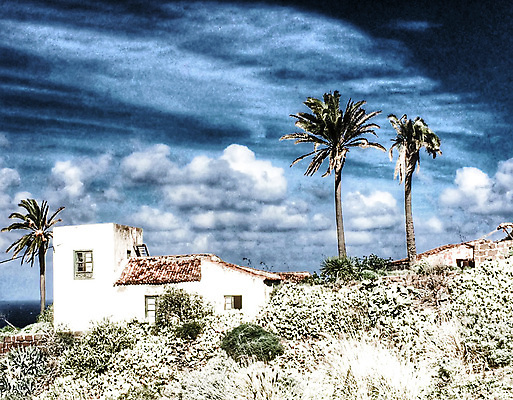 포토 JPG 해외이미지 하늘 사람없음 파란색 야자수 수확 시골 적외선 해외포토 나무 컬러 농업 파일형식 이미지허브