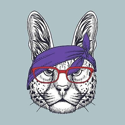 EPS 해외이미지 안경 일러스트 사람없음 머리띠 심볼 살쾡이 안경낌 해외일러스트 잡화 장신구 파일형식 벡터 이미지허브