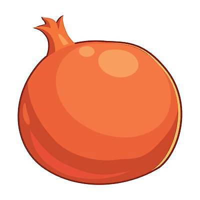 EPS 해외이미지 식물 디자인 열매 음식 백그라운드 패턴 다이어트 과일 일러스트 자연 디저트 건강 미술 씨앗 그래픽 빨간색 여름 주스 흰색 신선 달콤 맛 인쇄 만화 스케치 심볼 사인 그림 유기농 질감 윤곽 석류 비타민 내추럴 가넷 고립 숙성 엘리먼트 이국적 채식주의자 비건 해외일러스트 웰빙 계절 음료 컬러 컨셉 무늬 문화예술 보석 생태계 채식 영양소 파일형식 벡터 광석 이미지허브