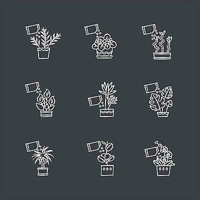 EPS 해외이미지 식물 디자인 꽃 화초 선 백그라운드 컨셉 일러스트 주택 손바닥 세트 정원 검은색 웹 칠판 흙 흰색 난초 낙서 백합 스케치 수집 제비꽃 심볼 대나무 사인 그림 분필 윤곽 손그림 팩 내추럴 보충 고립 돌봄 수유 활자 해외일러스트 나무 손 컬러 인터넷 모션 미술 건물 화장품 초크 활자판 파일형식 벡터 건축물 문화예술 신체부위 뷰티 인쇄판 건축 사람 인쇄 이미지허브