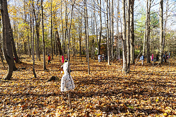 포토 JPG 해외이미지 얼굴 관계 가면 사람없음 야외 산책 유치원 바이러스 보호 질병 숲 쇼 경보 전염병 해외포토 교육 컨셉 의학 휴식 신체부위 파일형식 이미지허브