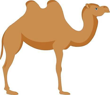 JPG 해외이미지 일러스트 사람없음 갈색 귀여움 낙타 해외일러스트 컬러 컨셉 포유류 파일형식 이미지허브