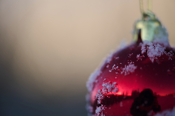 포토 JPG 해외이미지 주간 크리스마스장식 겨울 근접촬영 사람없음 야외 눈 오너먼트 해외포토 자연요소 계절 뷰포인트 크리스마스 날씨 파일형식 이미지허브