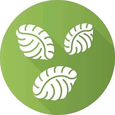 EPS 해외이미지 클립아트 전통 접시 디자인 음식 컨셉 일러스트 조개 건조 파스타 요리 픽토그램 저녁식사 웹 이탈리아 껍질 고명 플랫 상품 밀 지중해 심볼 사인 국수 날것 반죽 레시피 마카로니 상형문자 생식 엘리먼트 탄수화물 항목 해외일러스트 문자 식기 유럽 바다 인터넷 어패류 곡류 서양음식 식사 면류 파스타면 파일형식 벡터 이미지허브