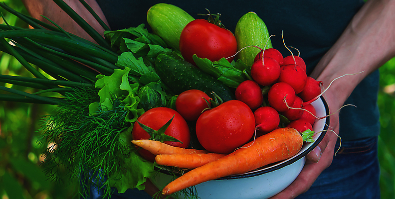 포토 JPG 해외이미지 식물 손 배너 음식 백그라운드 농업 토마토 채소 과일 자연 건강 사람 사람없음 야외 빨간색 초록색 여름 농작물 상자 농장 바구니 정원 당근 수확 성장 가을 신선 잡기 시장 농부 먹기 유기농 원예 날것 후추 내추럴 숙성 원예사 채식주의자 카피스페이스 세련 해외포토 직업 웰빙 계절 산업 컬러 모션 뿌리채소 취미 신체부위 공백 향신료 생태계 채식 파일형식 이미지허브