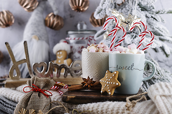 포토 JPG 해외이미지 크리스마스 크리스마스용품 실내 사람없음 아웃포커스 쿠키 코코아 지팡이사탕 해외포토 기념일 음료 디저트 촬영기법 사탕 내부 용품 파일형식 이미지허브