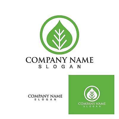 EPS 해외이미지 디자인 잎 일러스트 사람없음 초록색 심볼 에코 유기농 엘리먼트 해외일러스트 식물 웰빙 컬러 환경 파일형식 벡터 이미지허브