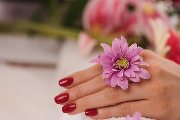 포토 JPG 해외이미지 손 꽃 신체부위 네일아트 해외포토 식물 사람 뷰티 파일형식 이미지허브