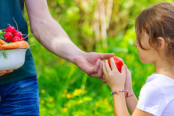 포토 JPG 해외이미지 식물 손 음식 백그라운드 농업 토마토 채소 과일 자연 건강 사람 사람없음 야외 초록색 여름 농작물 상자 농장 바구니 정원 당근 수확 성장 가을 신선 잡기 시장 농부 상추 수집 먹기 유기농 원예 날것 후추 내추럴 숙성 원예사 채식주의자 카피스페이스 세련 해외포토 직업 웰빙 계절 산업 컬러 모션 뿌리채소 취미 신체부위 공백 향신료 생태계 채식 파일형식 이미지허브