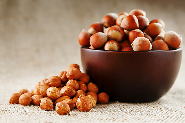 포토 JPG 해외이미지 회색배경 사람없음 견과류 유기농 담기 바이오 헤이즐넛 개암 해외포토 웰빙 열매 백그라운드 모션 회색 파일형식 이미지허브