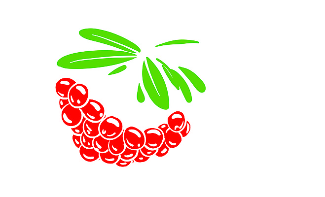 포토 JPG 해외이미지 클립아트 열매 과일 사람없음 빨간색 심볼 베리 해외포토 식물 컬러 파일형식 이미지허브