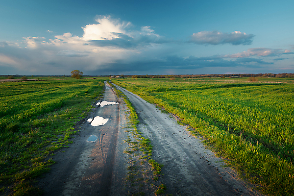 포토 JPG 해외이미지 구름 계절 도로 길 백그라운드 밭 농업 자국 자연 하늘 날씨 풍경 초원 사람없음 초록색 여름 파란색 농경지 봄 시골 저녁 낟알 땅 밀 웅덩이 먼지 장면 광택 폴란드 땅바닥 방법 밭일 수평선 해외포토 자연요소 유럽 산업 컬러 교통시설 곡류 바닥 농장 야간 생태계 파일형식 이미지허브