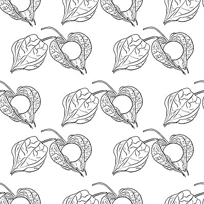 포토 JPG 해외이미지 식물 손 디자인 계절 선 음식 백그라운드 잎 꽃무늬 패턴 다이어트 토마토 과일 일러스트 자연 벽지 건강 미술 사람없음 그래픽 세트 갈색 정원 나뭇가지 신선 얼룩 황금 스케치 수집 그림 유기농 질감 손그림 내추럴 해외일러스트 나무 웰빙 꽃 컬러 무늬 채소 문화예술 신체부위 생태계 파일형식 이미지허브