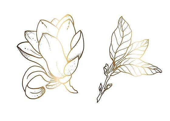 EPS 해외이미지 식물 손 디자인 배너 꽃 선 결혼 백그라운드 잎 꽃무늬 패턴 일러스트 자연 추상 미술 그래픽 유행 봄 수확 벚꽃 흰색 나뭇가지 춤 생일 황금 낙서 만화 스케치 문신 심볼 라인아트 그림 복고 윤곽 목련 고립 국경 해외일러스트 나무 계절 기념일 컬러 무늬 농업 문화예술 이벤트 신체부위 생태계 파일형식 벡터 이미지허브