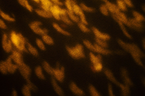 포토 JPG 해외이미지 디자인 벽 백그라운드 크리스마스 패턴 일러스트 벽지 추상 휴가 발렌타인데이 사랑 이벤트 사람없음 장식 빛 노란색 파티 우주 검은색 축제 어둠 공연 축하 점 우아함 상품 소프트포커스 보케 부드러움 마법 광 효과 해외일러스트 기념일 감정 컬러 컨셉 무늬 데이이벤트 촬영기법 감각 파일형식 이미지허브