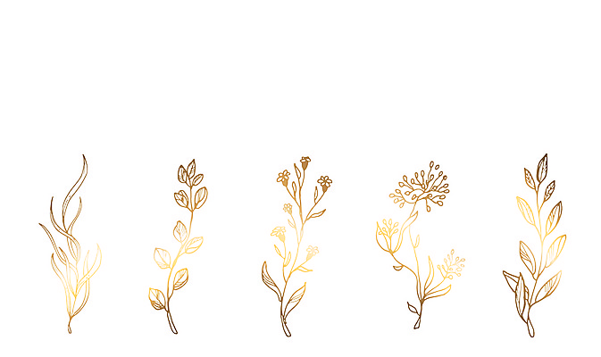 포토 JPG 해외이미지 식물 손 디자인 배너 꽃 선 결혼 백그라운드 잎 꽃무늬 패턴 일러스트 자연 추상 미술 사람없음 그래픽 유행 봄 수확 벚꽃 흰색 나뭇가지 춤 생일 황금 낙서 만화 스케치 문신 심볼 라인아트 그림 복고 윤곽 고립 국경 해외일러스트 나무 계절 기념일 컬러 무늬 농업 문화예술 이벤트 신체부위 생태계 파일형식 이미지허브
