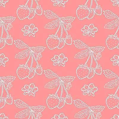 EPS 해외이미지 식물 모델 손 디자인 열매 꽃 선 음식 분홍색 백그라운드 잎 패턴 다이어트 일러스트 포장 벽지 딸기 디저트 그래픽 여름 컬러풀 정원 봄 수확 흰색 신선 낙서 스케치 질감 복고 심플 윤곽 맛있는 해외일러스트 계절 컬러 무늬 농업 과일 건강 미술 신체부위 파일형식 벡터 이미지허브