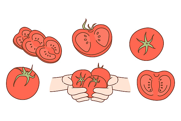 포토 JPG 해외이미지 손 조각 토마토 일러스트 들기 신체부위 세트 슬라이스 해외일러스트 채소 모션 사람 파일형식 이미지허브
