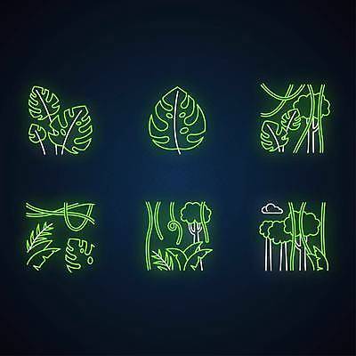 EPS 해외이미지 나무 식물 디자인 선 백그라운드 잎 일러스트 자연 손바닥 미술 그래픽 빛 세트 숲 열대우림 수집 심볼 사인 윤곽 네온 발리 인도네시아 상록수 형광등 탐사 빛망울 고립 삼림지대 아열대 엘리먼트 그리너리 해외일러스트 손 아시아 섬 문화예술 전등 생태계 파일형식 벡터 트랜드컬러 이미지허브